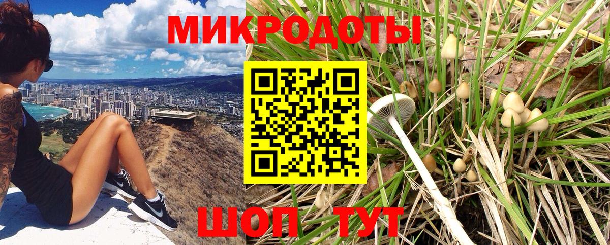 Гулькевичи  закладки  Галлюциногенные грибы ЛСД  Вход с VPN  Галлюциногенные грибы мухоморы 