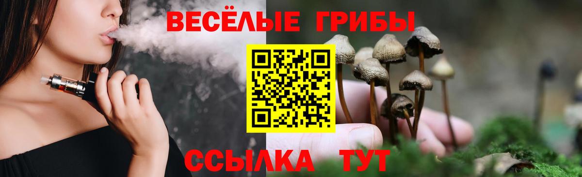 Псилоцибиновые грибы Psilocybe Гулькевичи